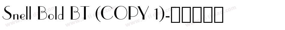 Snell Bold BT (COPY 1)字体转换